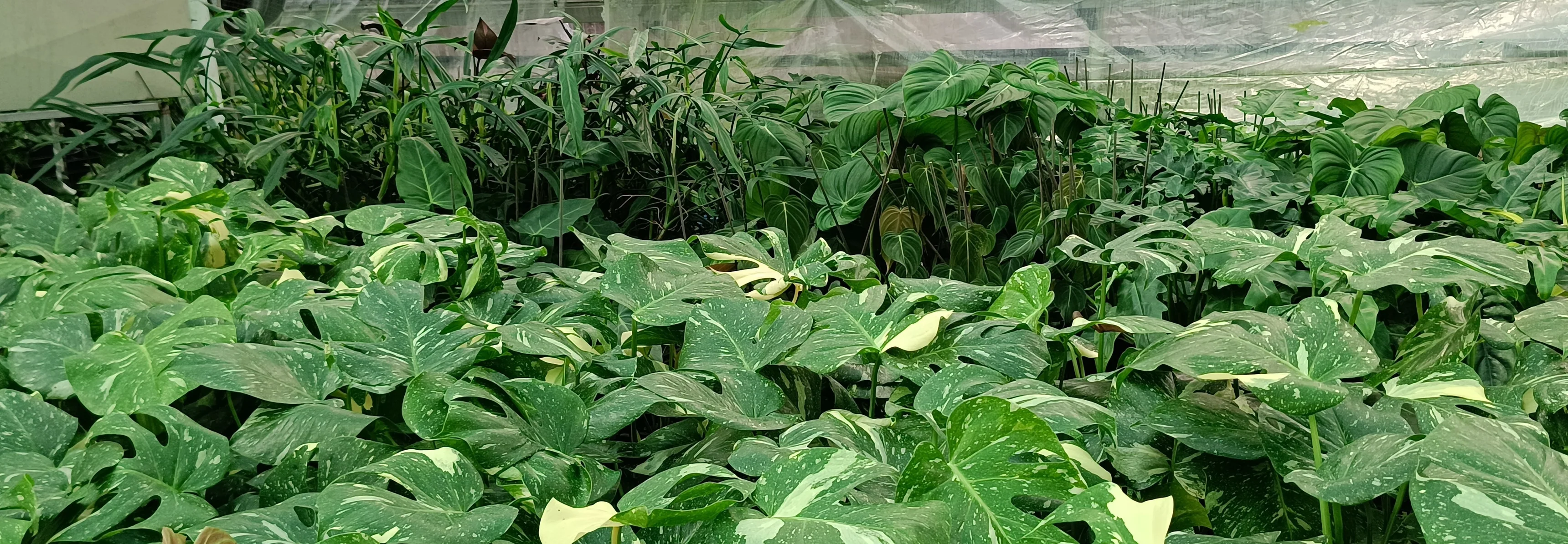 Welcome to Our Store